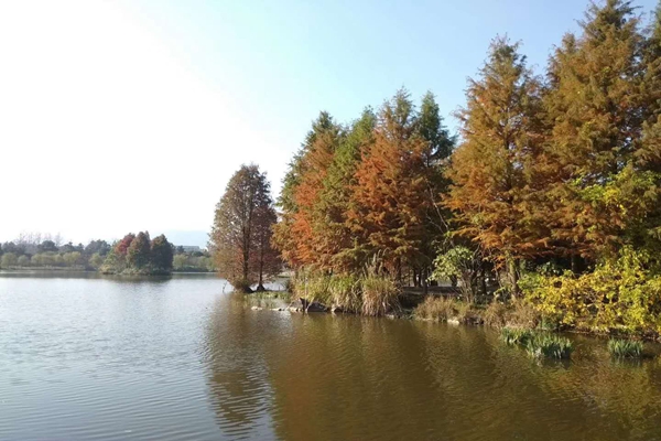 鵬海制藥 鵬海制藥